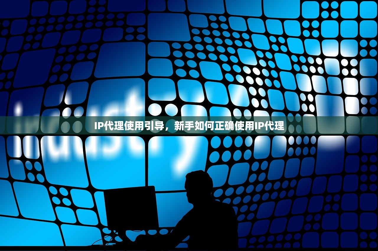 IP代理使用引导，新手如何正确使用IP代理，新手指南，正确使用IP代理的秘诀