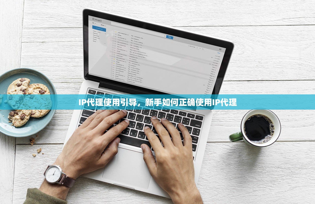 IP代理使用引导，新手如何正确使用IP代理