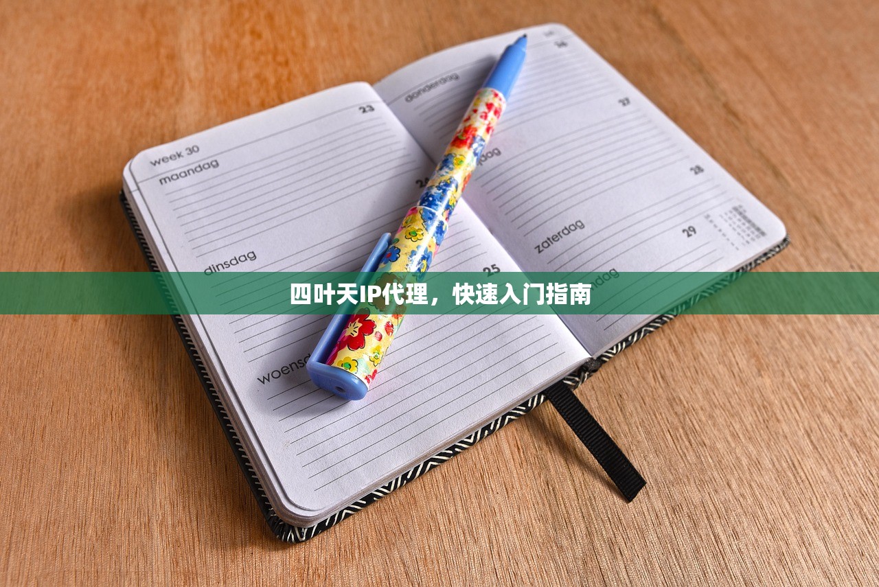 四叶天IP代理，快速入门指南