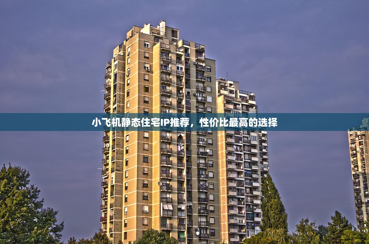 小飞机静态住宅IP推荐，性价比最高的选择，小飞机静态住宅IP推荐，性价比之王