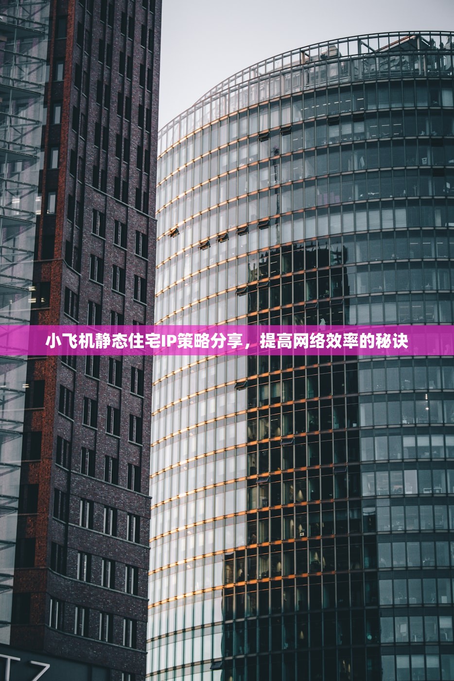 小飞机静态住宅IP策略分享，提高网络效率的秘诀