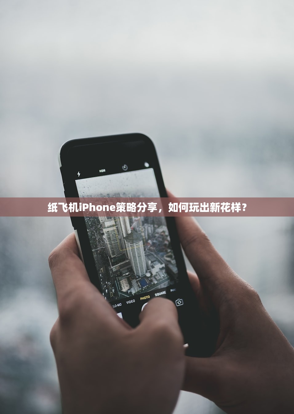 纸飞机IP代理服务——谁适合使用这款高效便捷的代理工具？