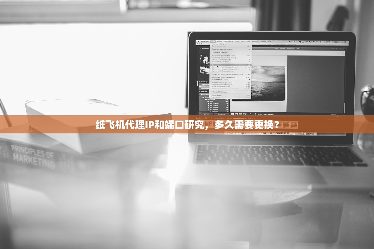 纸飞机代理IP和端口研究，多久需要更换？