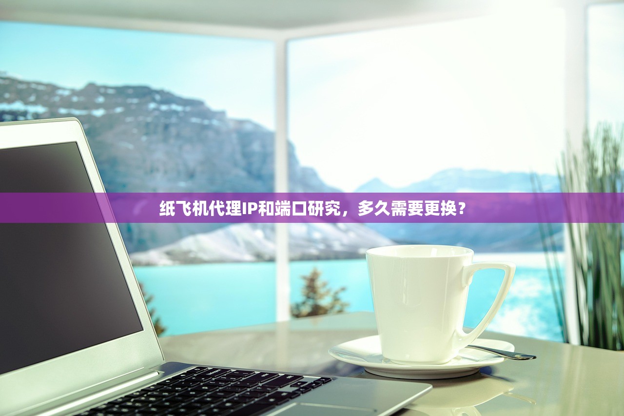 纸飞机代理IP和端口研究，多久需要更换？