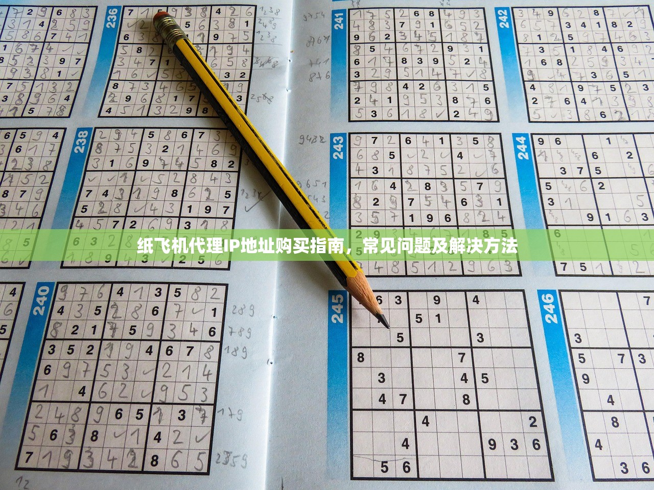 纸飞机代理IP地址购买指南，常见问题及解决方法