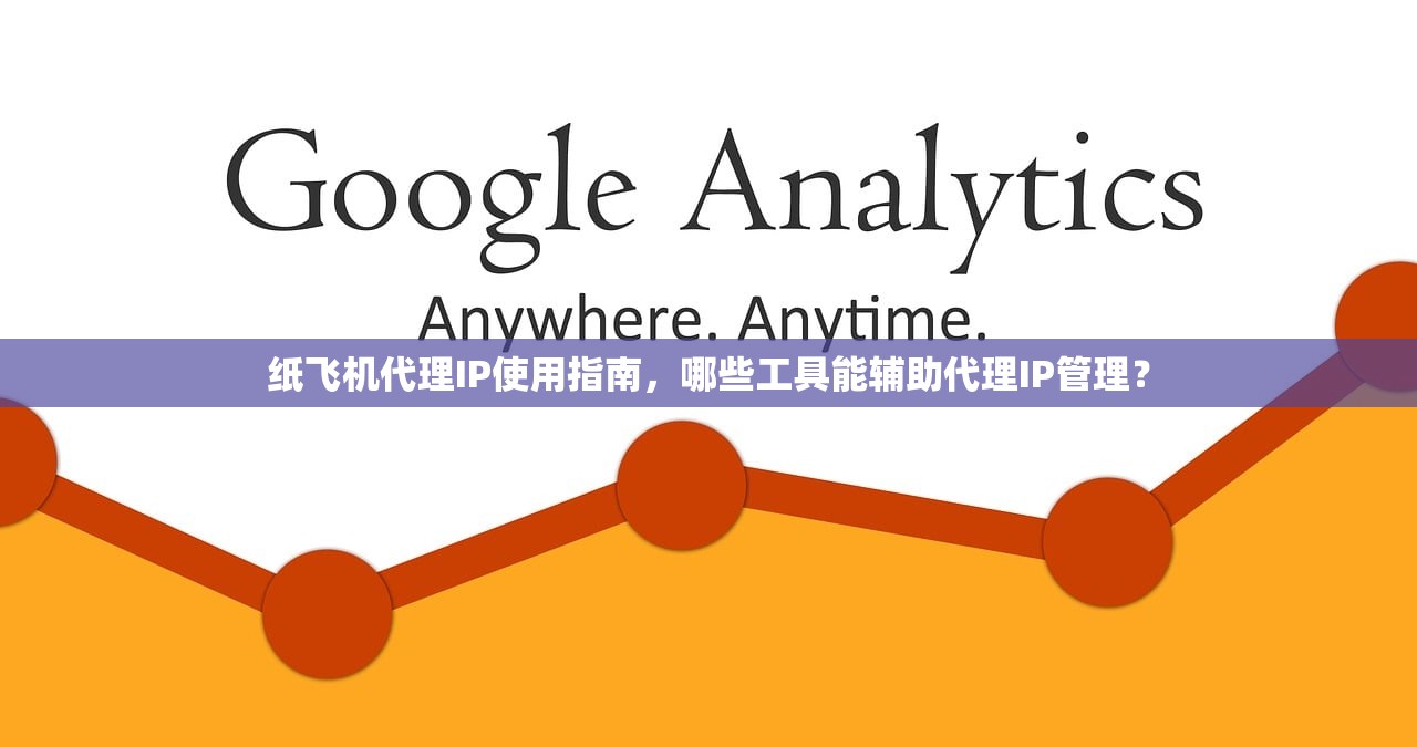 纸飞机代理IP使用指南，哪些工具能辅助代理IP管理？