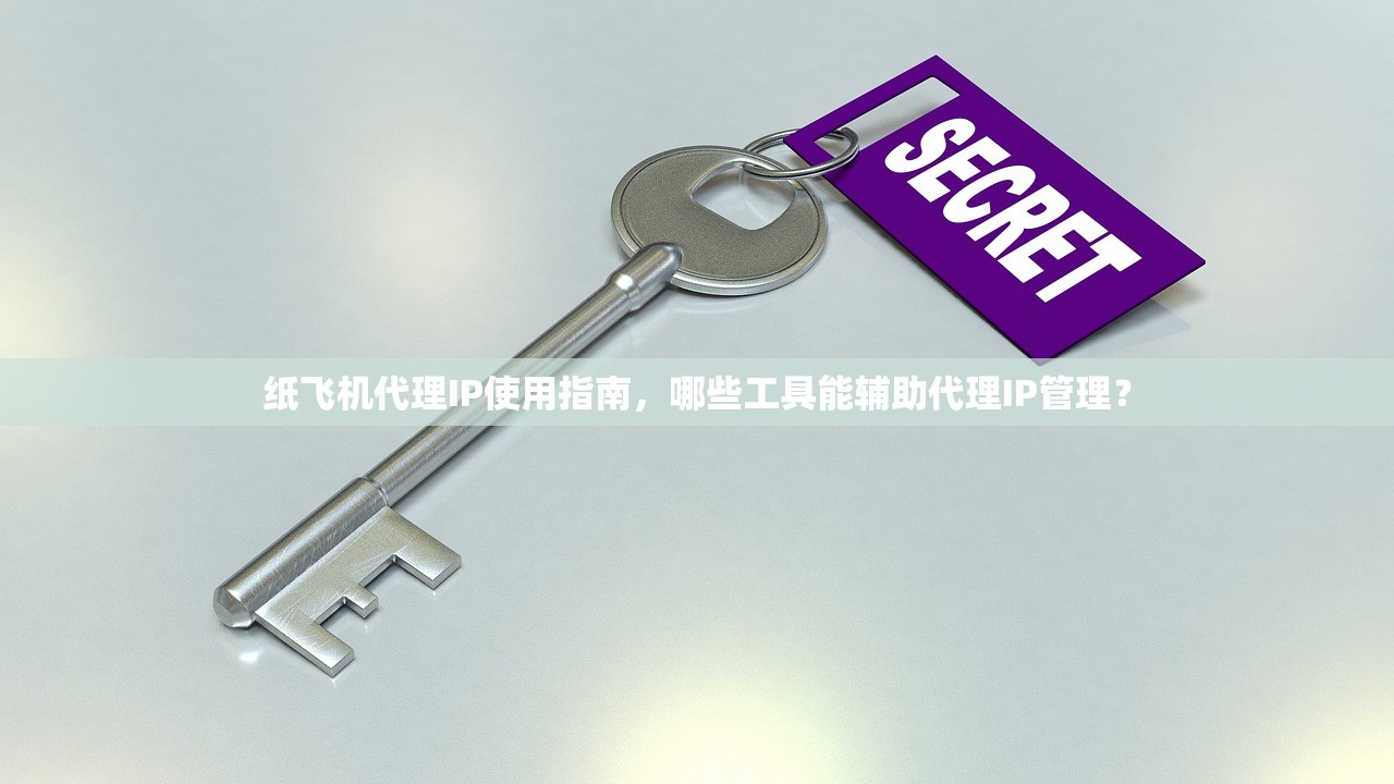 纸飞机代理IP使用指南，哪些工具能辅助代理IP管理？