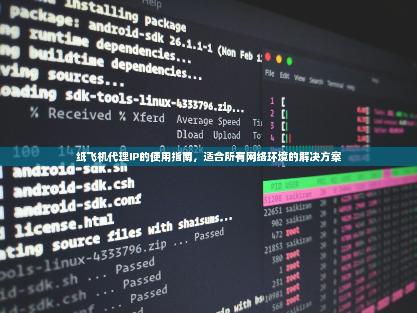 纸飞机代理IP的使用指南,适合所有网络环境的解决方案 纸飞机代理IP的使用指南,适合所有网络环境的解决方案