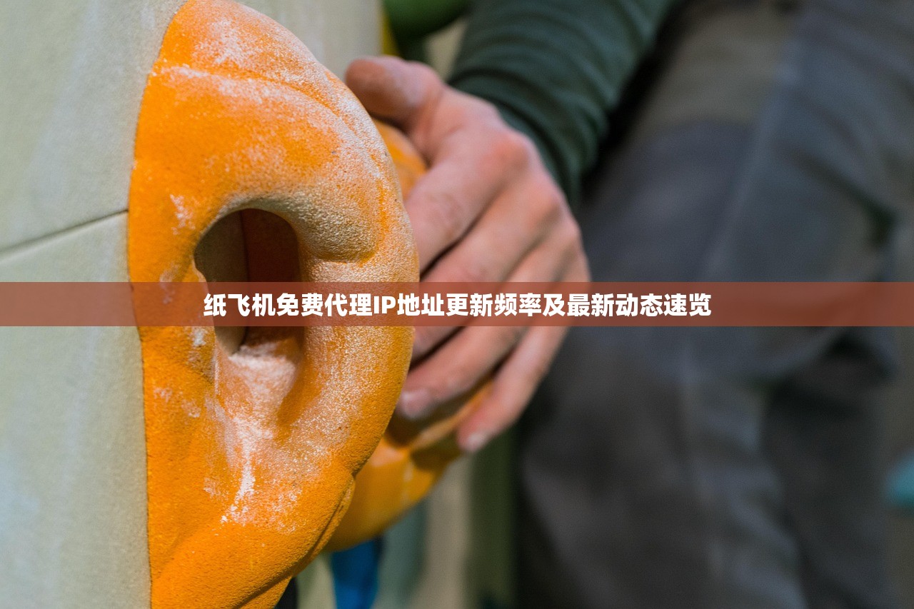 纸飞机免费代理IP地址更新频率及最新动态速览