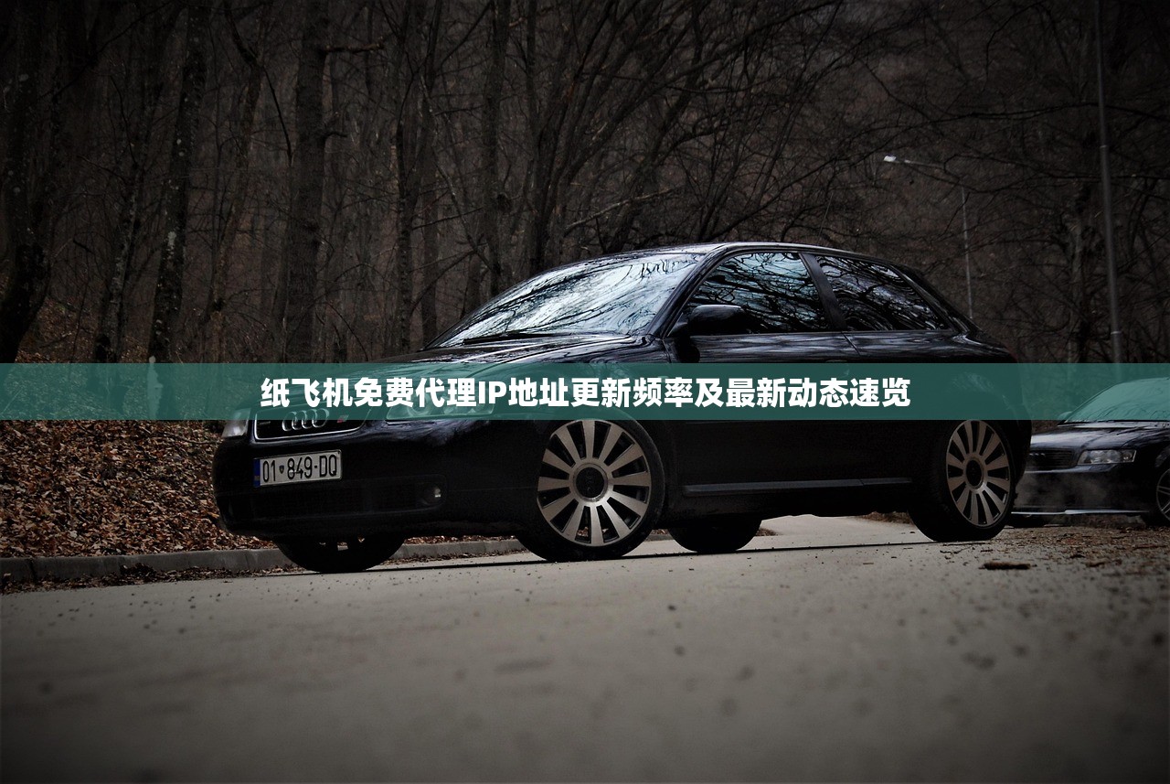 纸飞机免费代理IP地址更新频率及最新动态速览