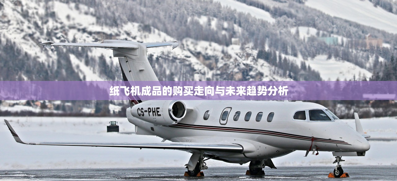 纸飞机成品的购买走向与未来趋势分析 纸飞机成品的购买走向与未来趋势分析
