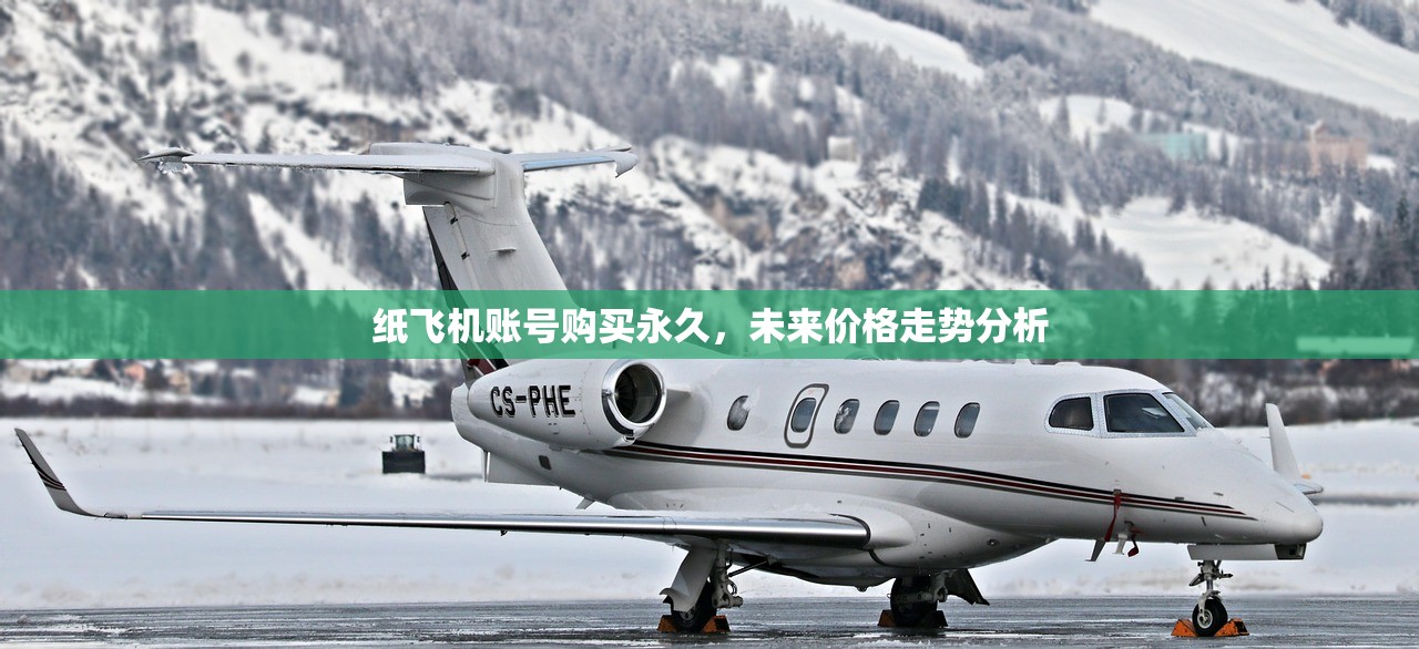 纸飞机账号购买永久,未来价格走势分析 纸飞机账号购买永久,未来价格走势分析