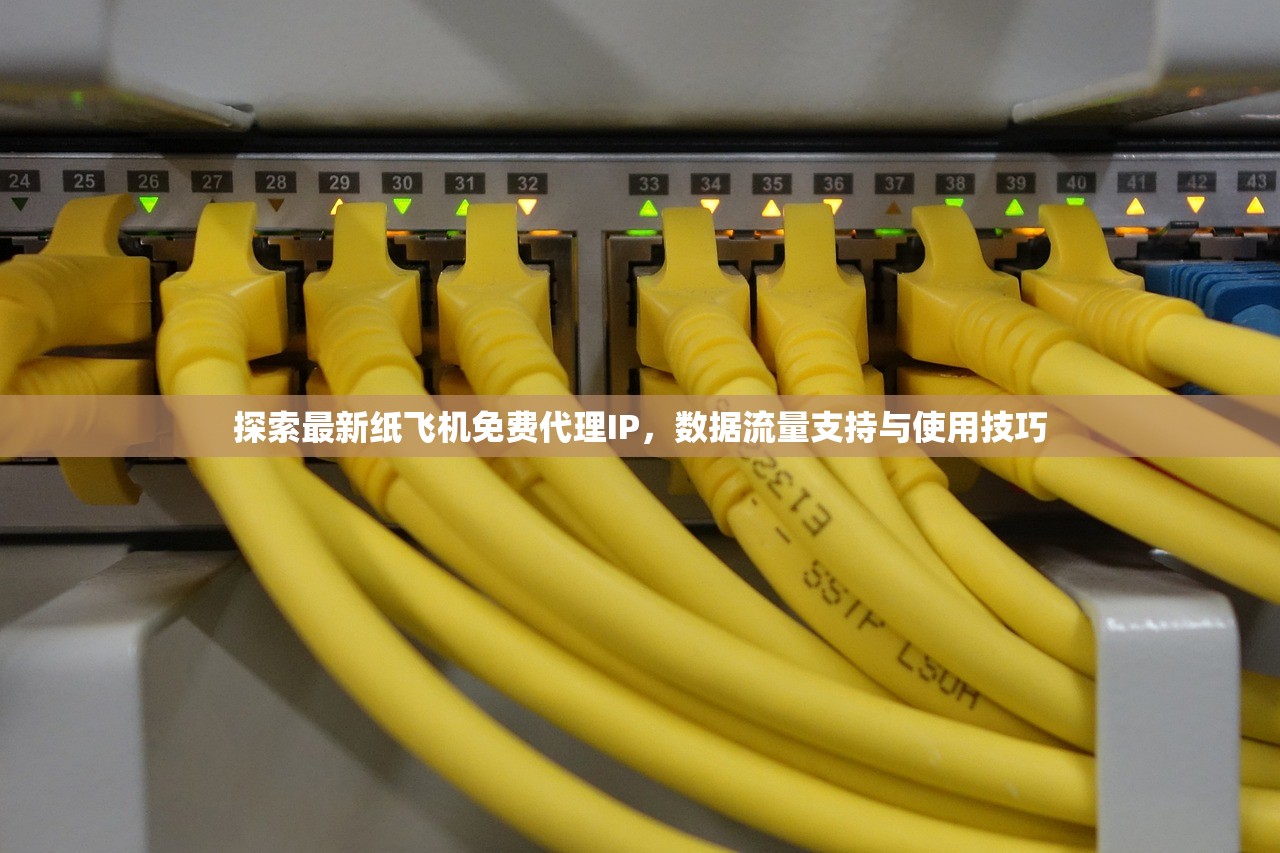 探索最新纸飞机免费代理IP,数据流量支持与使用技巧 探索最新纸飞机免费代理IP,数据流量支持与使用技巧